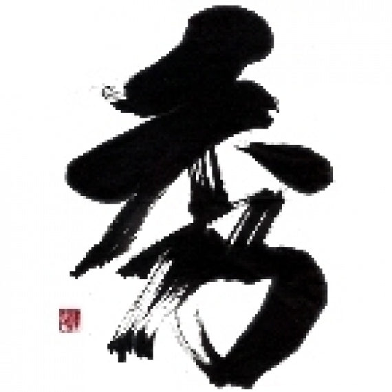 シャインマスカットワイン(甘口)750ml【2本入】【地域限定送料込】