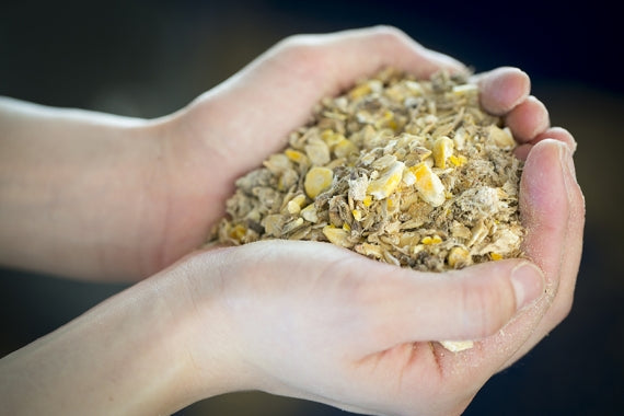 宮崎県産 パイン牛(黒毛和牛) ロースステーキ 2枚入り 1枚約200g【精肉・肉加工品】