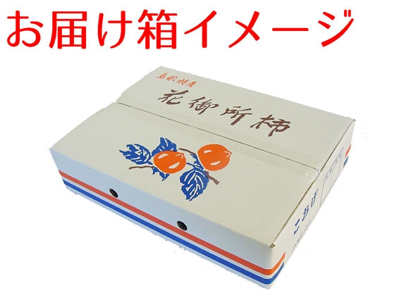 【鳥取特産】こおげ花御所柿 自家用5kg L~M 22~24玉【送料無料】【GI登録】【発送12月上旬】