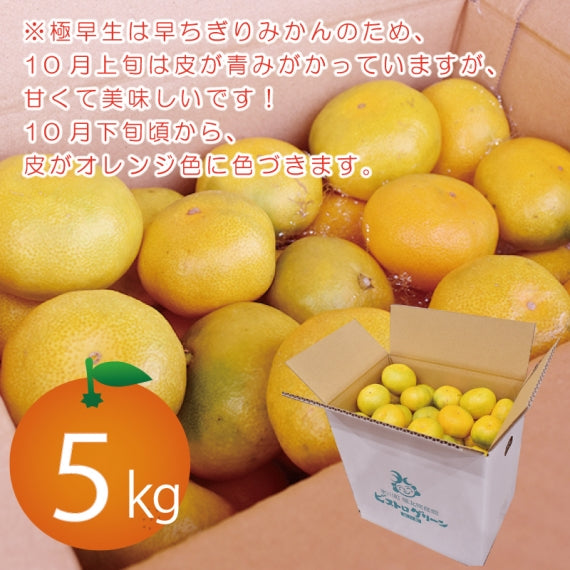 熊本県 産地直送!甘くて程よい酸味の『極早生みかん』 5㎏