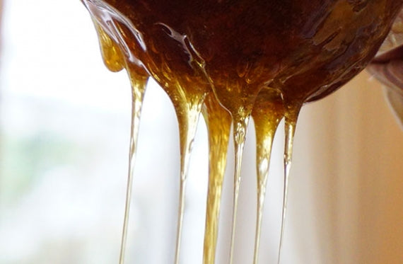 日本蜜蜂のはちみつ