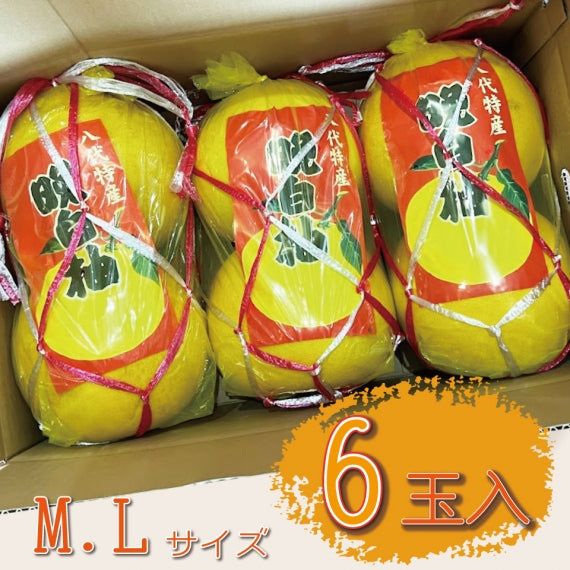 【訳あり】超お得!熊本特産品 "晩白柚" MLサイズ6玉=今シーズンの販売は終了しました=