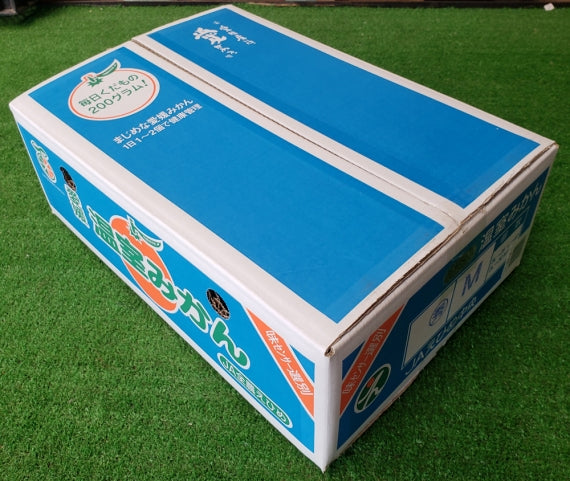 【販売終了】「愛媛特産」濃厚な甘さ・深い味わいハウスみかん 5kg L(40玉)・Mサイズ(48玉)・Sサイズ(60玉)サイズ指定不可