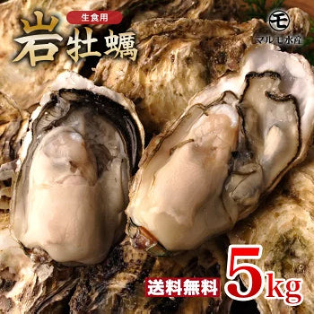 殻付き岩牡蠣(生食用) 5kg 1個130～180g