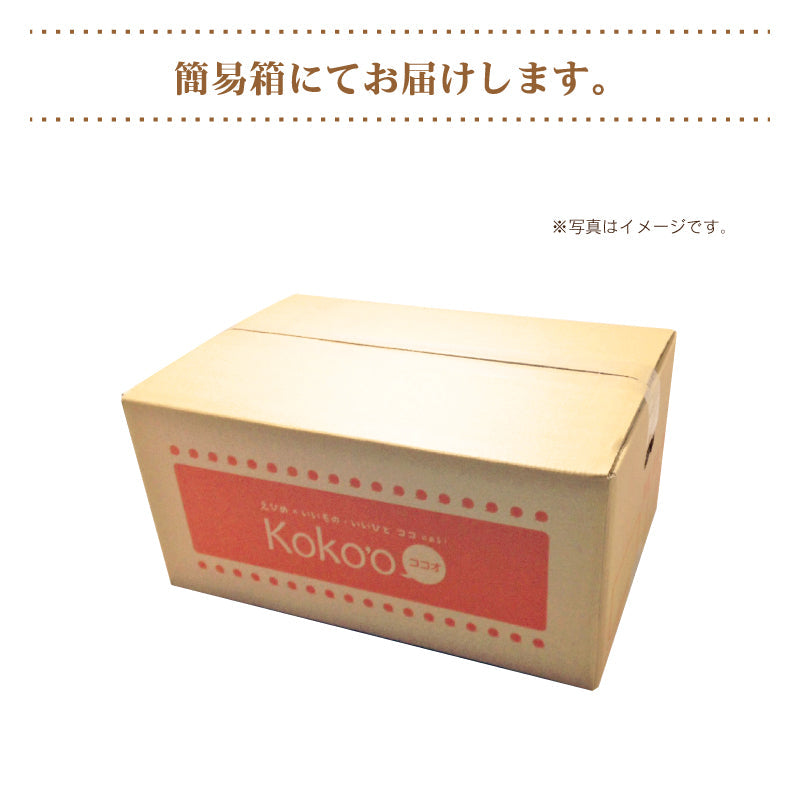 ※今季販売終了※【送料無料】愛媛県産「レモン」〈秀品〉約5㎏