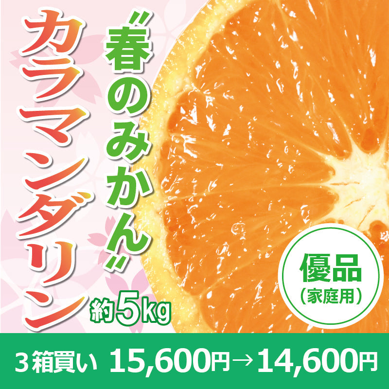 ※今季販売終了※【送料無料】春のみかん「カラマンダリン」〈優品・家庭用〉約5kg