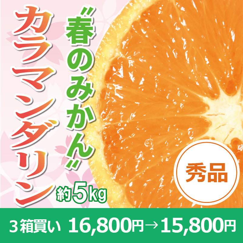 ※今季販売終了※【送料無料】春のみかん「カラマンダリン」〈秀品〉約5kg