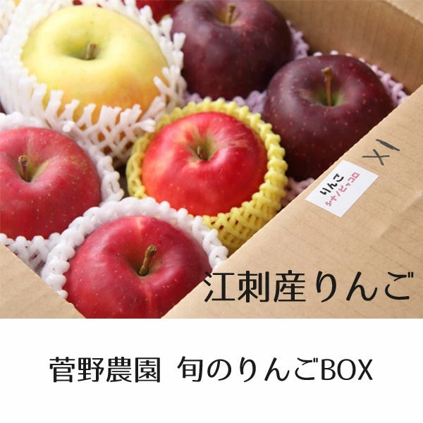 岩手県 江刺産りんご 菅野農園 旬のりんごBOX(MIX)3kg【常温・送料込】