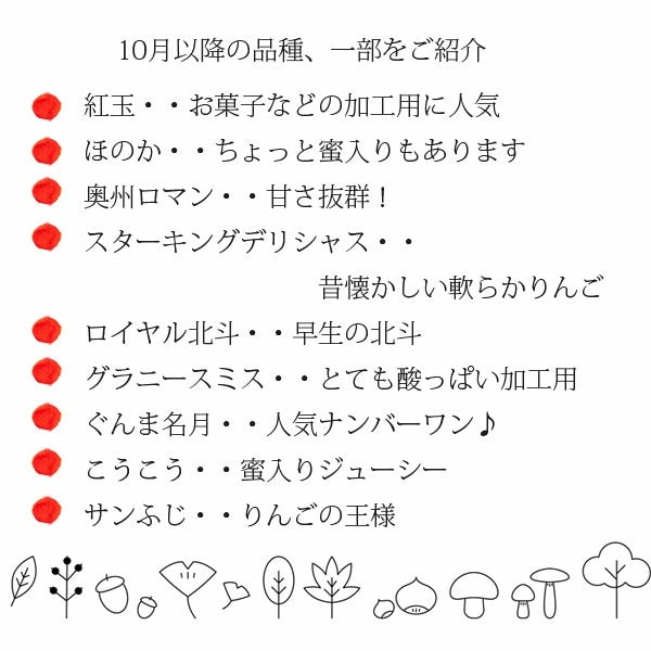 岩手県 江刺産りんご 菅野農園 旬のりんごBOX(MIX)3kg【常温・送料込】