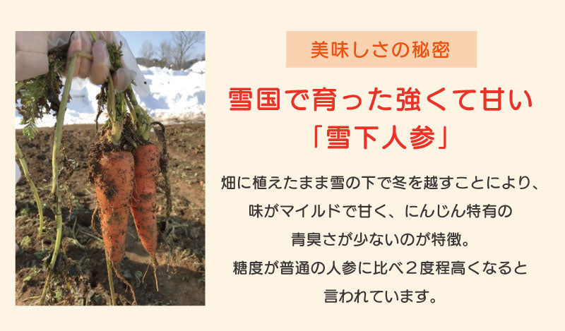 りんご茶 青森県産 プロテオグリカン入り 無添加 国産 送料無料 道奥美女 みちのくびじょ【6310】