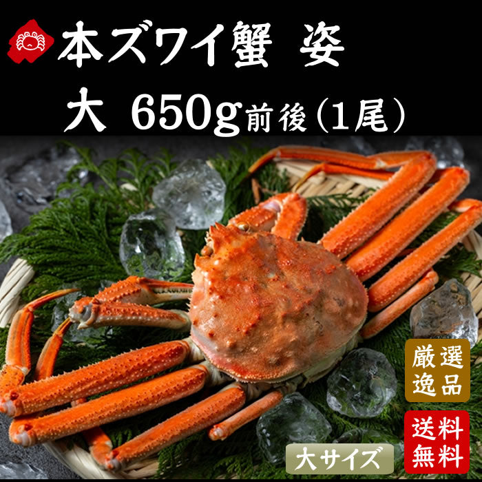本ずわい蟹 姿ボイル650g (送料無料※沖縄は別途)