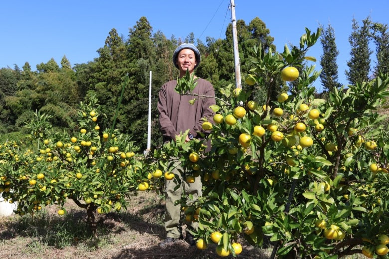 【送料込み】高知県 山北産 藤村さんの ゆら早生みかん秀品 Sサイズ5kg