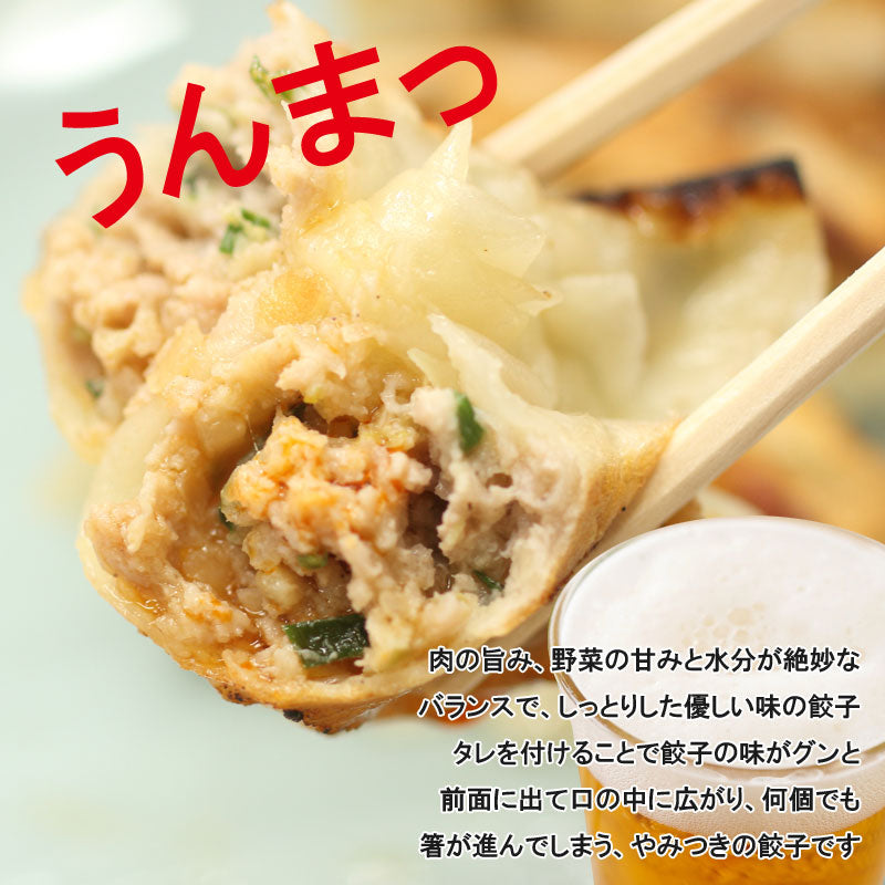 盛岡名物 パイカル 特製 手作り餃子セット 20個入【冷凍・送料込】