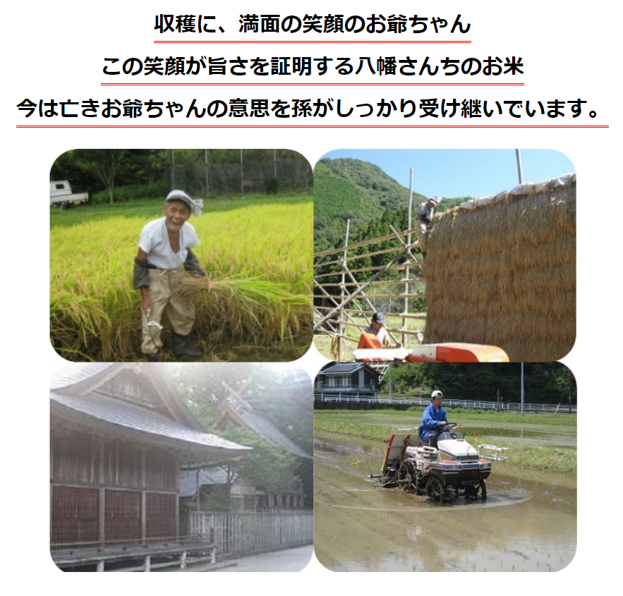 【天日干しでモチモチ食感！】 八幡さんちのコシヒカリ 10㎏ ５年産米【送料込み】