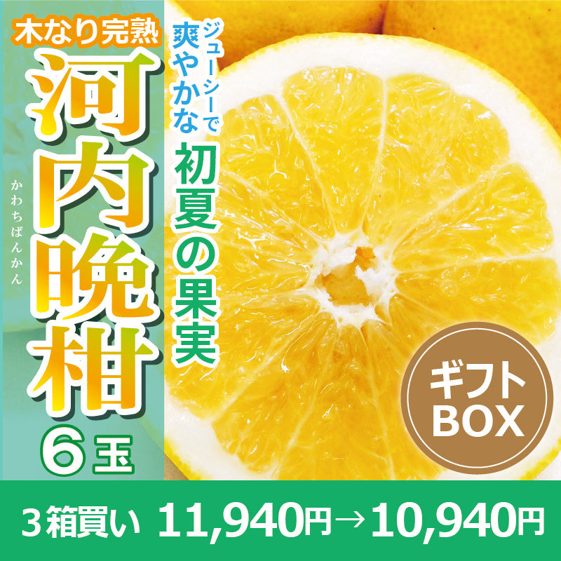 ※今季販売終了※【送料無料】木なり完熟!河内晩柑〈秀品・ギフトBOX入〉6玉