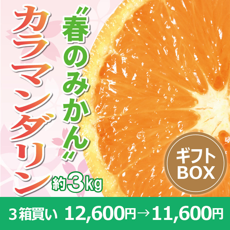 ※今季販売終了※【送料無料】春のみかん「カラマンダリン」〈秀品・ギフトBOX〉約3kg