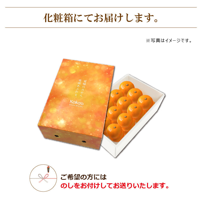 【※早割予約受付中※】愛媛県産「温州みかん(南柑20号)」-媛太陽みかん-〈秀品・化粧箱〉約2.5kg