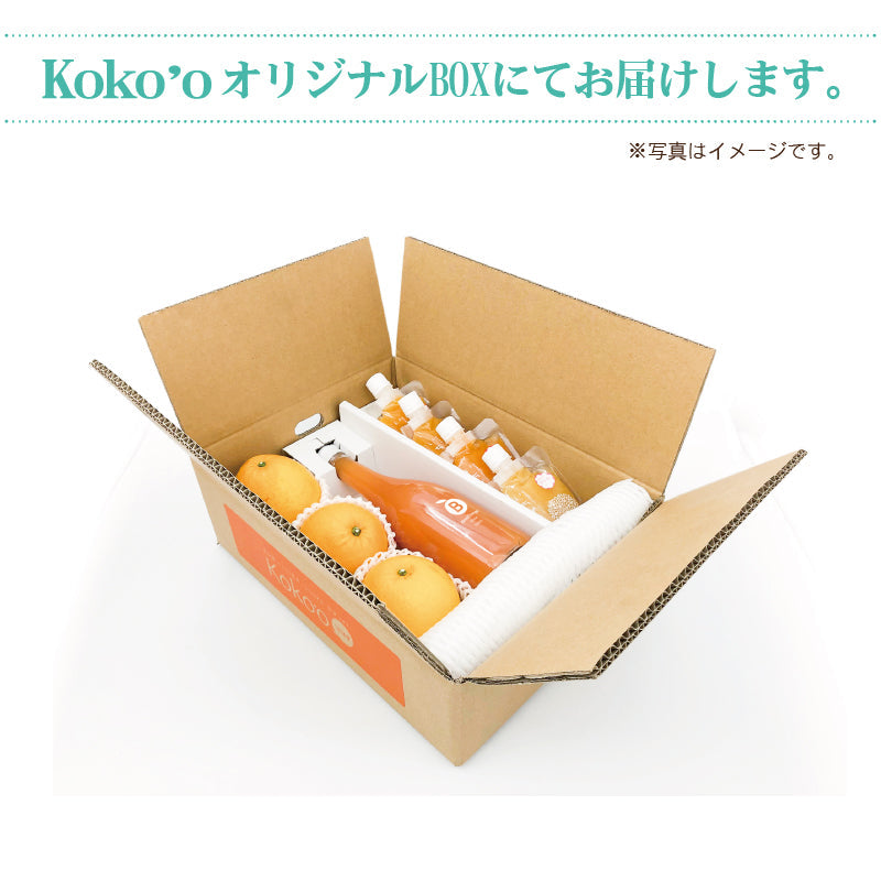 ※今季販売終了※【送料無料】初夏のおすすめセットB -河内晩柑&ブラッドオレンジジュース&ジュレ詰合せ-