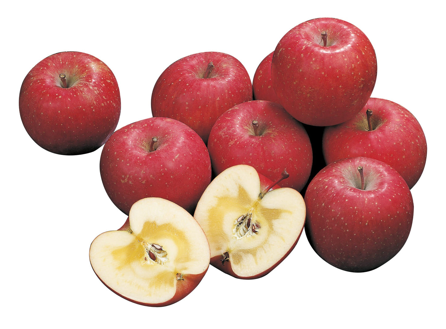 旬感りんご 江刺りんご サンふじ 贈答用 自宅用 岩手のりんご【常温・送料込】