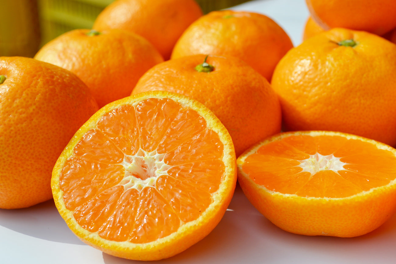 <柿とみかん>柿の王様★富有柿 &旬の新鮮なみかん の美味しいセット