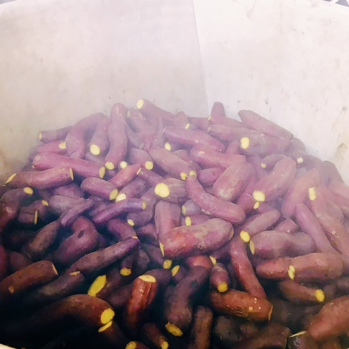 千駒 焼酎いちぶん