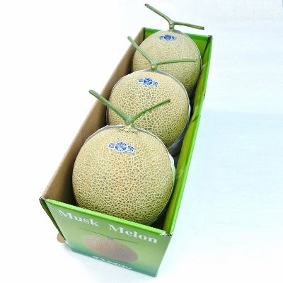 <家庭用※訳あり品カード入り>クラウンメロンMサイズ3玉 【送料無料】