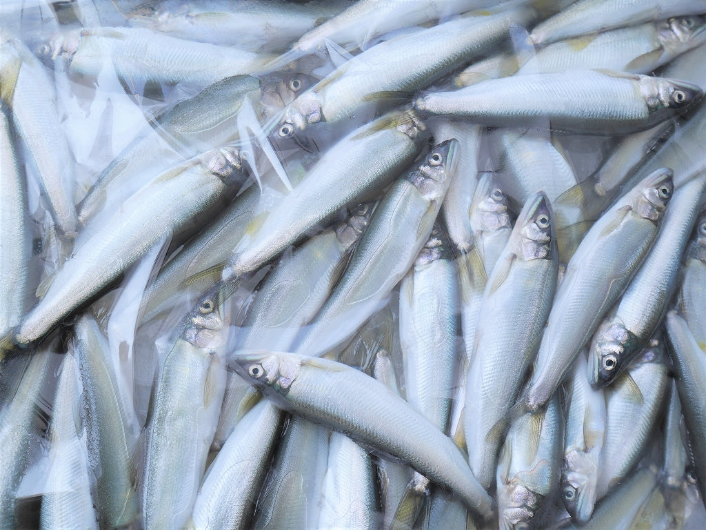 【岐阜県産】鮎みそ ★当店オリジナ商品★