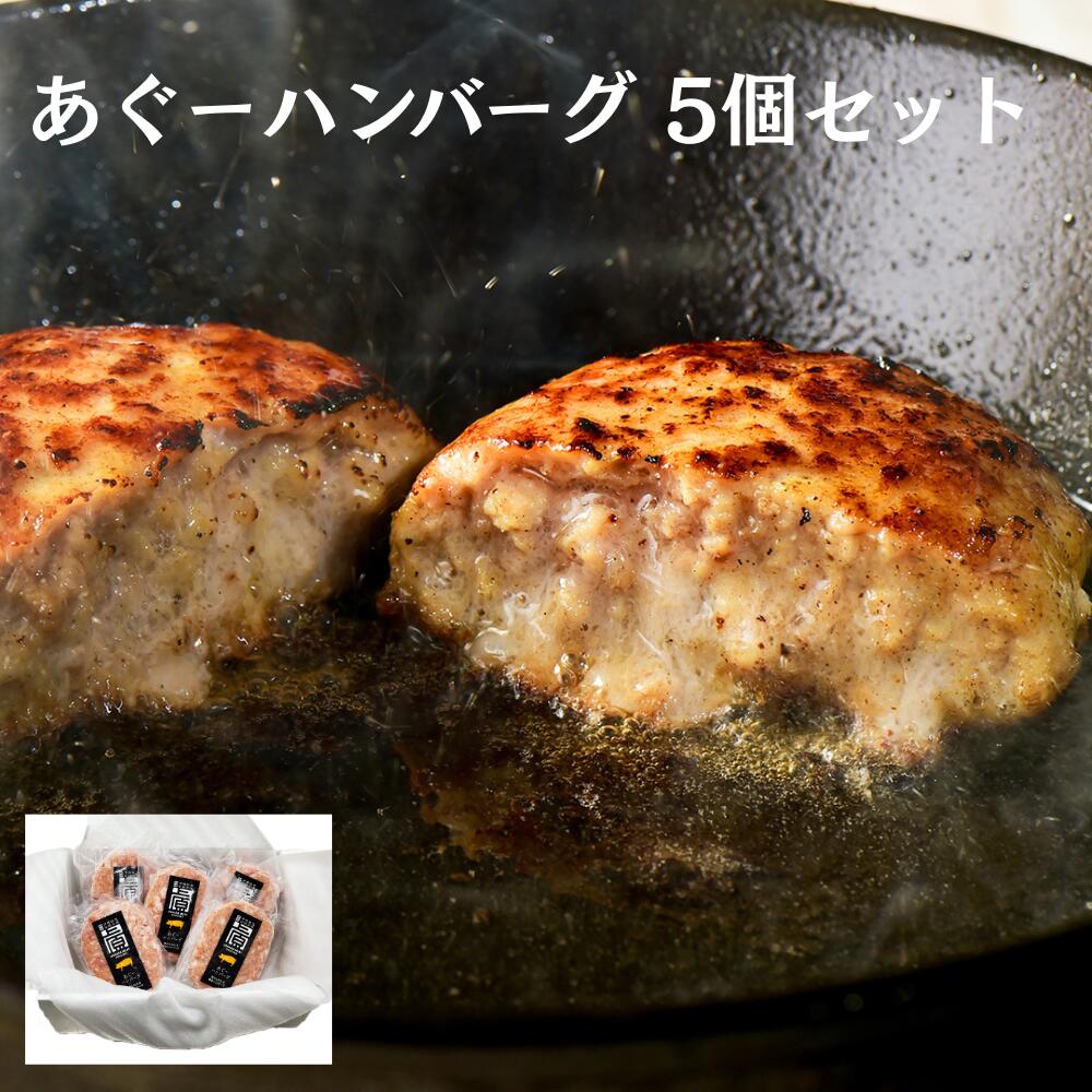 あぐーハンバーグ110g 5個 ギフトセット あぐー豚肉 産地直送 豚肉ハンバーグ 冷凍ハンバーグ ギフト(送料無料)