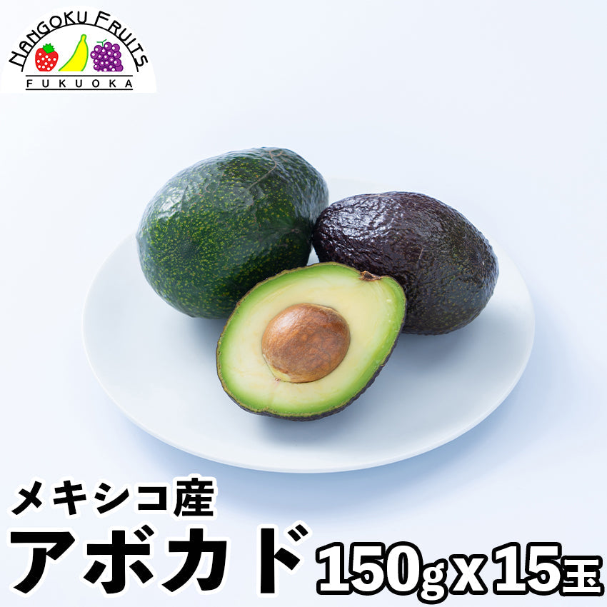 【送料無料】メキシコ産 アボカド