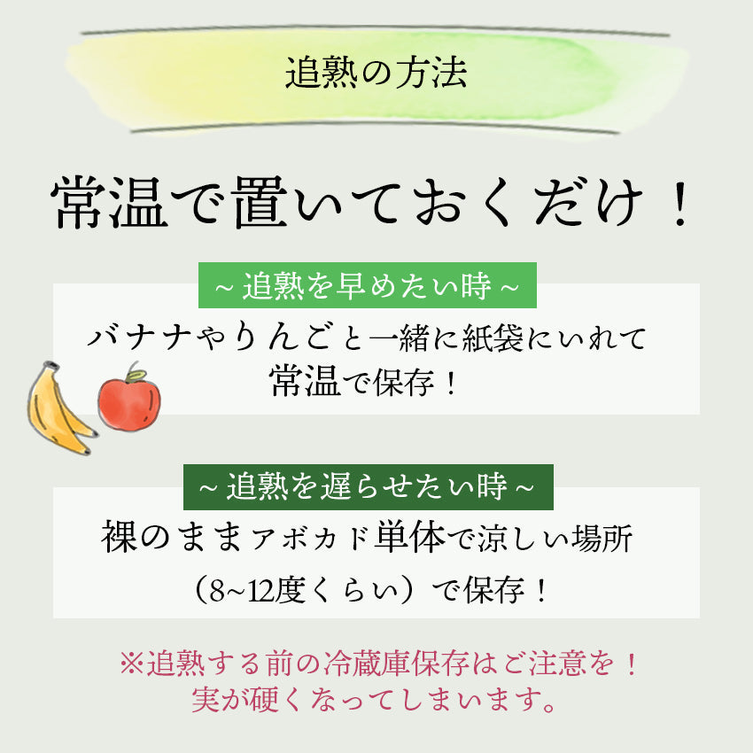 【送料無料】メキシコ産 アボカド