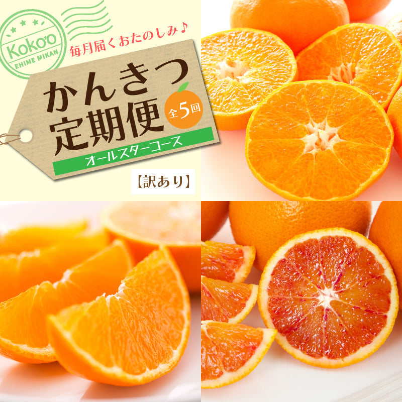 【送料無料】お得!旬の柑橘オールスター定期便【選べる秀品・訳あり(全5回)】※お楽しみプチプレゼント付き