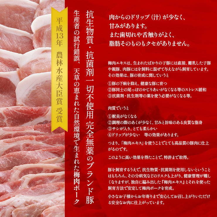 ギフト 贈り物 天草梅肉ポーク 焼肉セット 豚肉 バラ焼肉用 500g(250gx2p) 約5人前 肩ロース焼肉用 500g(250gx2p)