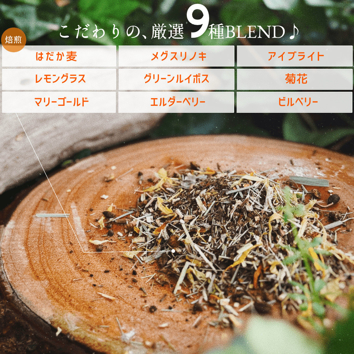 【お徳用・5袋セット・送料無料】メグスリの木BLEND(5ヶ月分)眼精疲労、目のピント調整に♪