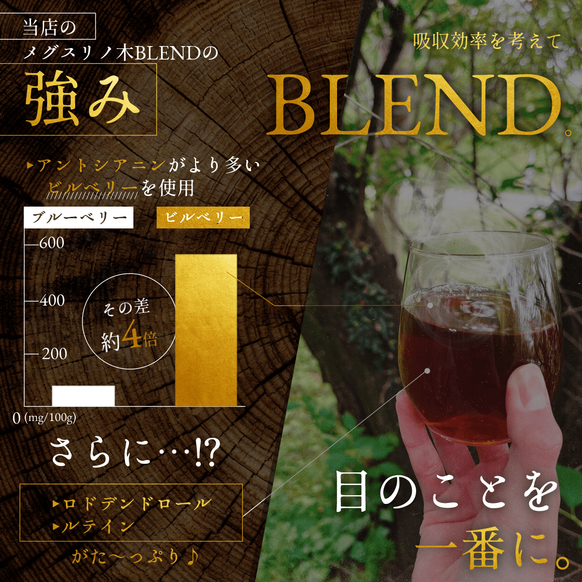 【お徳用・5袋セット・送料無料】メグスリの木BLEND(5ヶ月分)眼精疲労、目のピント調整に♪