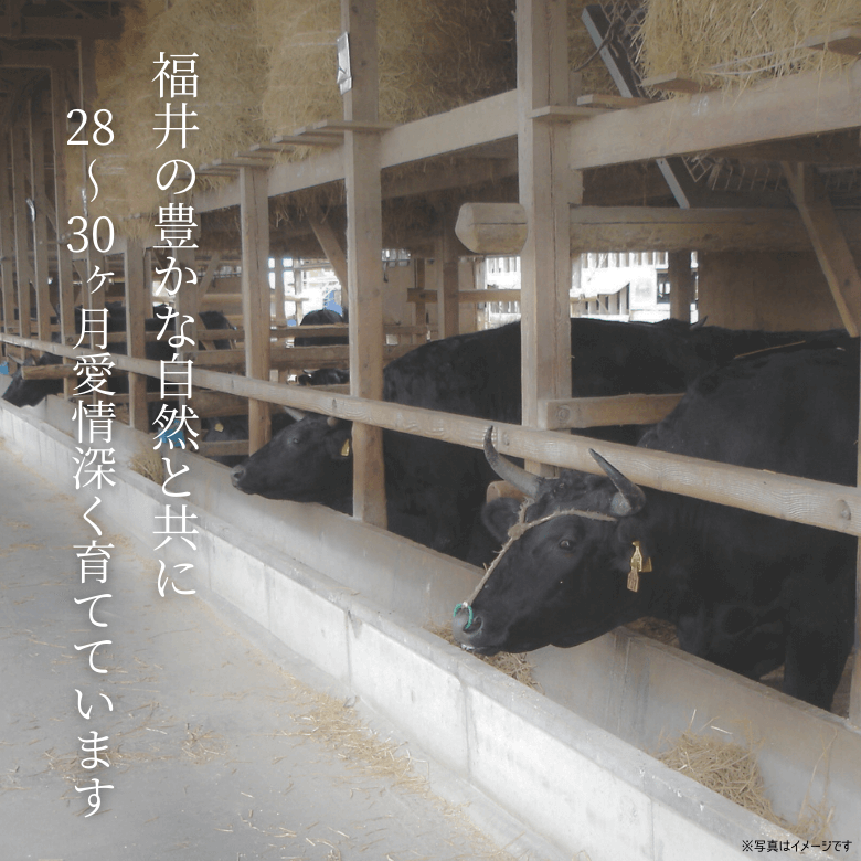 吟醸牛ロース・焼肉用（300ｇ入り）《冷凍便》【日本ギフト大賞2022受賞】【精肉・肉加工品】