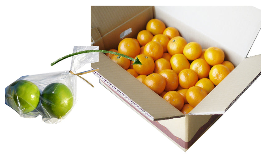 ★他の商品と同梱で送料無料★レモン(1個:リスボンまたはマイヤー)