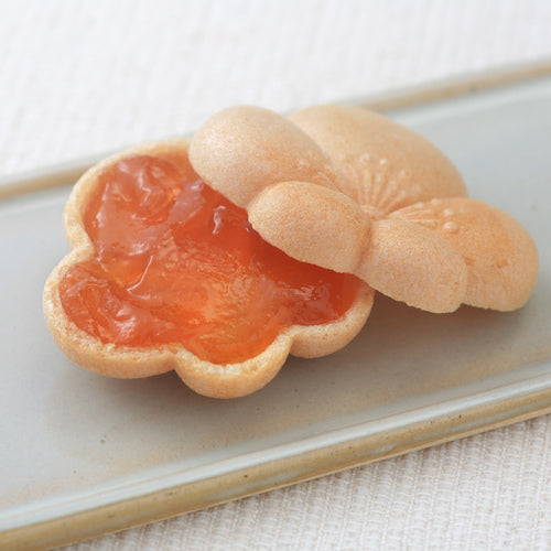 【信州産】【雑誌VERYモデル佐田真由美さん喜ばれる手土産で紹介!】 杏もなか20個入【和菓子】