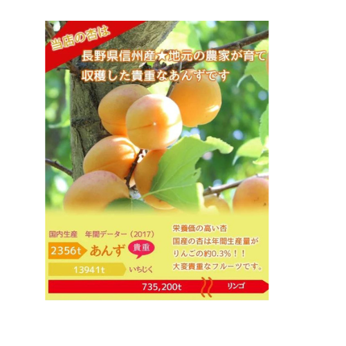 【送料込み・沖縄のみ別途】【信州産】【雑誌VERYモデル佐田真由美さん喜ばれる手土産で紹介!】 杏もなか 15個入り【和菓子】