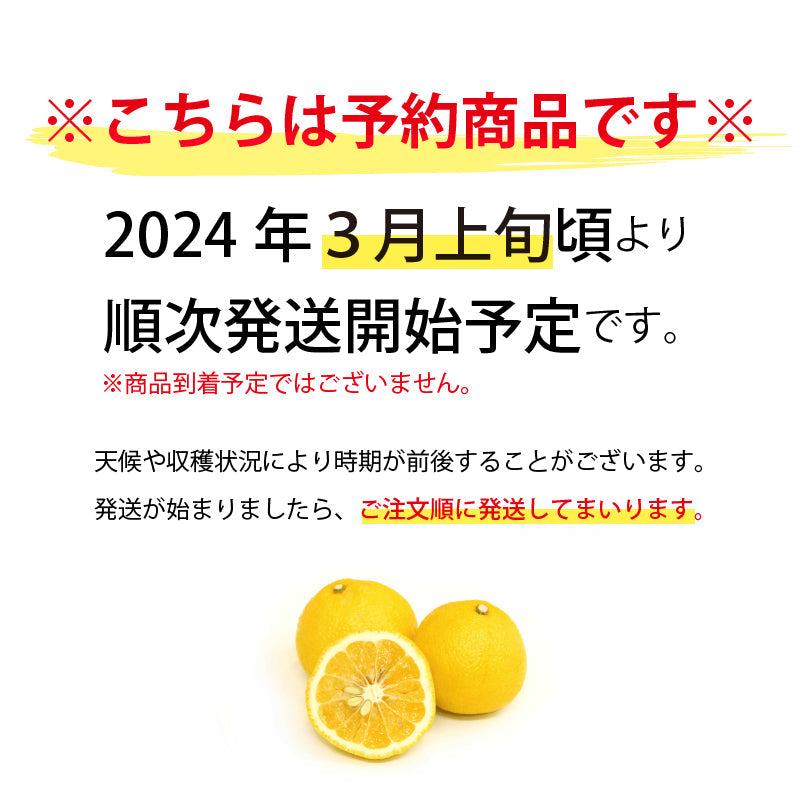 【2025年1月頃予約開始予定】媛太陽はるか〈秀品　約5kg〉愛媛県産・はるか　【送料無料】
