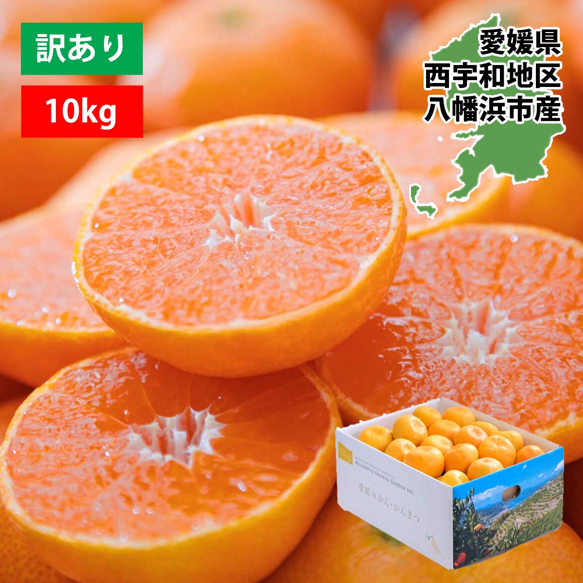 甘みと酸味のバランスが絶妙!ブランド産地の愛媛みかん