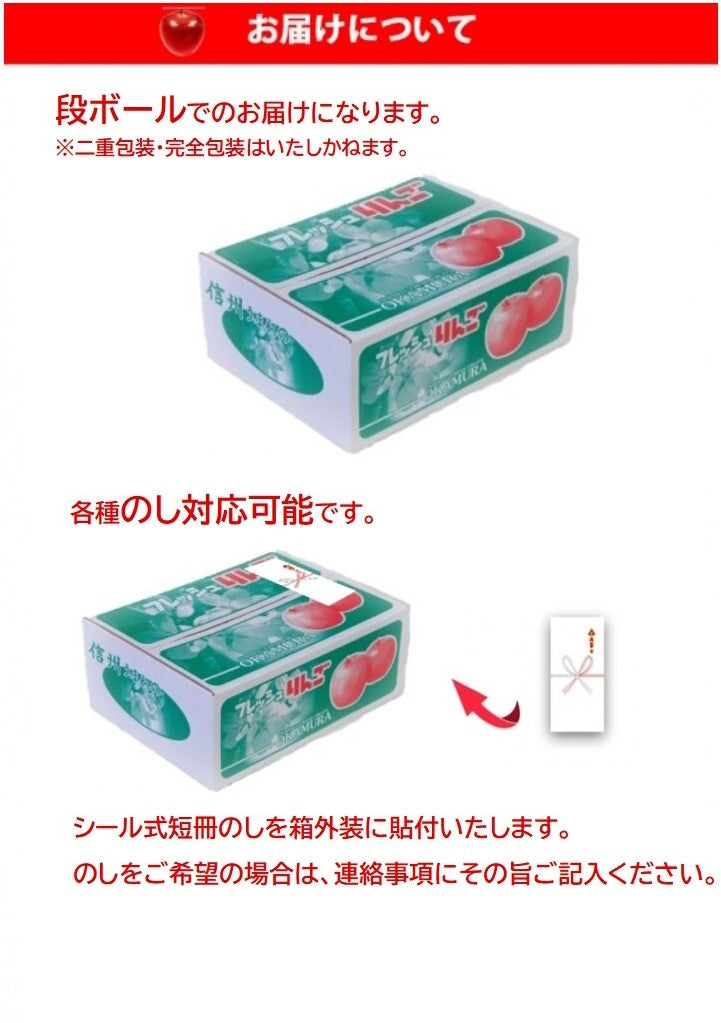 【売り切れ】信州産りんご サンふじ4㎏【お歳暮2025】【フルーツ】11月中旬から発送予定