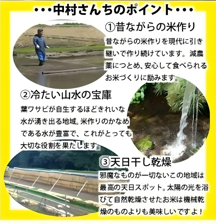 【深みのある味わい米!】中村さんちのコシヒカリ5kg  7年産新米【送料込み】