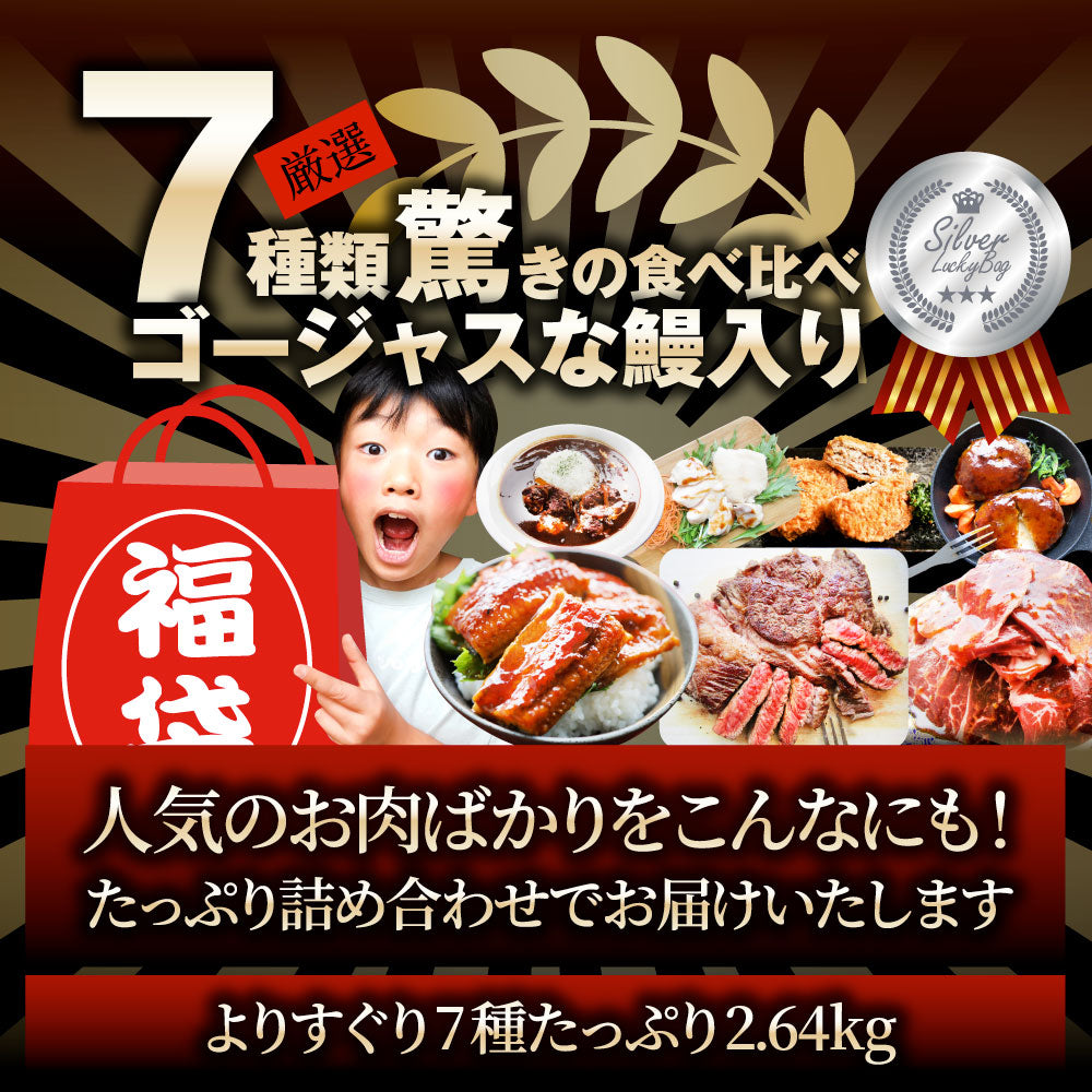 肉の福袋 シルバー メガ盛り 総重量2.64kg 焼肉 お歳暮 ギフト 食品 プレゼント 女性 男性 お祝い 新生活 あすつく