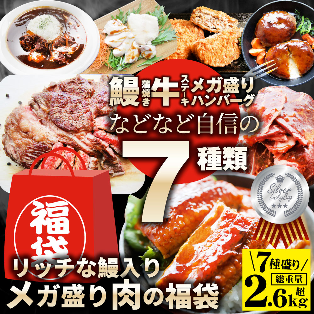 肉の福袋 シルバー メガ盛り 総重量2.64kg 焼肉 お歳暮 ギフト 食品 プレゼント 女性 男性 お祝い 新生活 あすつく