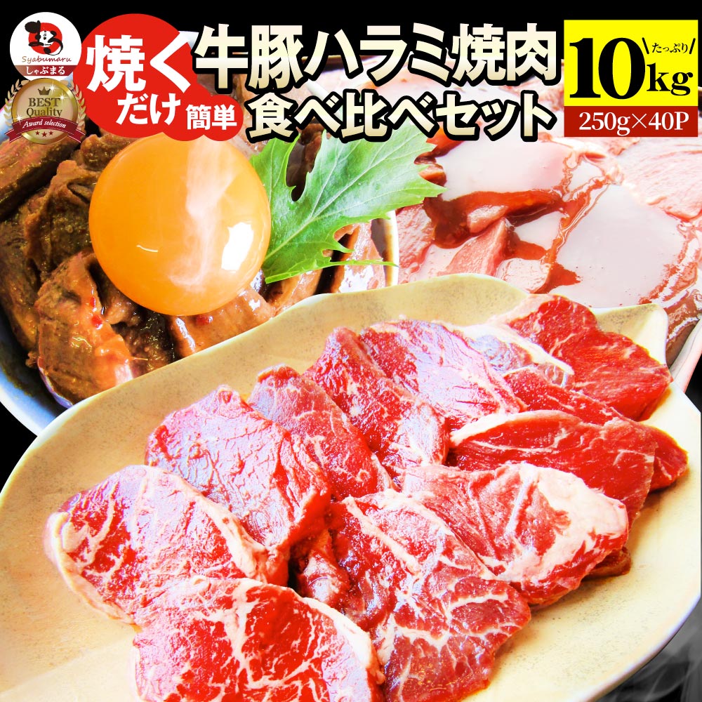 ハラミ 食べ比べ 牛肉 豚肉 焼肉 メガ盛り 赤身 はらみ バーベ キュー 美味しい ホワイトデー ギフト 食品 プレゼント 女性 男 性 お祝い あす楽