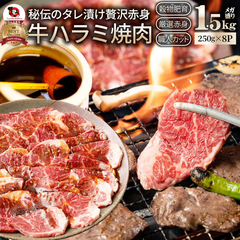牛ハラミ焼肉(タレ漬け) タレ 赤身 はらみ 秘伝 焼肉 やきにく ハラミ アウトドア お家焼肉 BBQ キャンプ キャンプ飯
