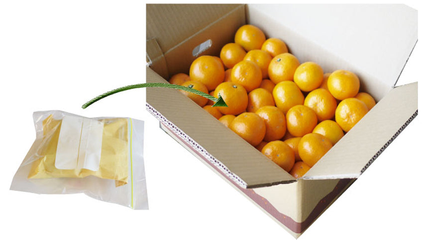 ★他の商品と同梱で送料無料★【秋の味覚】ぎんなん(100g:18個~22個、まぁまぁ大玉です。)