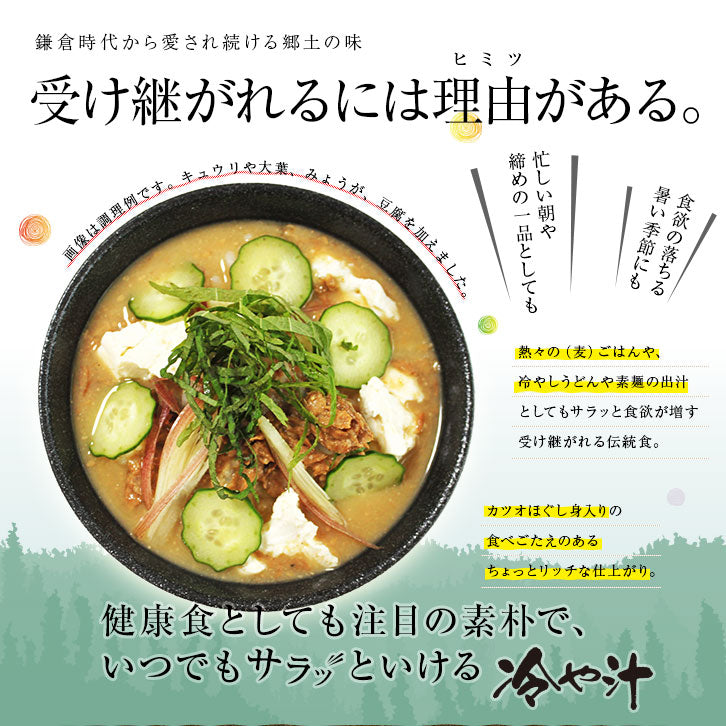 おつまみ 宮崎名物 冷汁(冷や汁/ひや汁/ひやじる/冷やし汁) お茶碗2杯分 お試し 人気には 訳あり 食品 お取り寄せグルメ 絶品 味噌汁 ぶっかけ カツオほぐし身入り 珍味 お取り寄せグルメ 食品 グルメ 惣菜 大豆 ポイント消化 送料無料