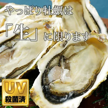 殻付き岩牡蠣(生食用) 3kg 1個130～180g