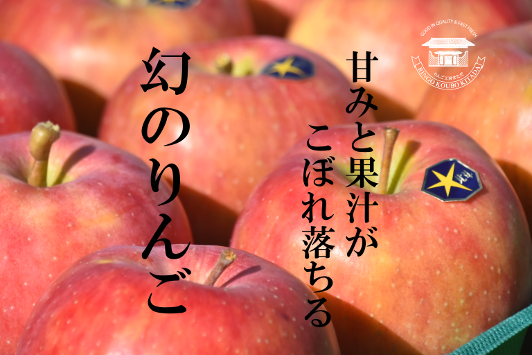 【通常便】ご家庭用 北斗5キロ(20玉~11玉) ※沖縄地域・離島エリア以外は送料無料